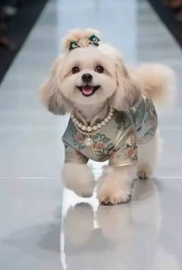 Pampered Pets