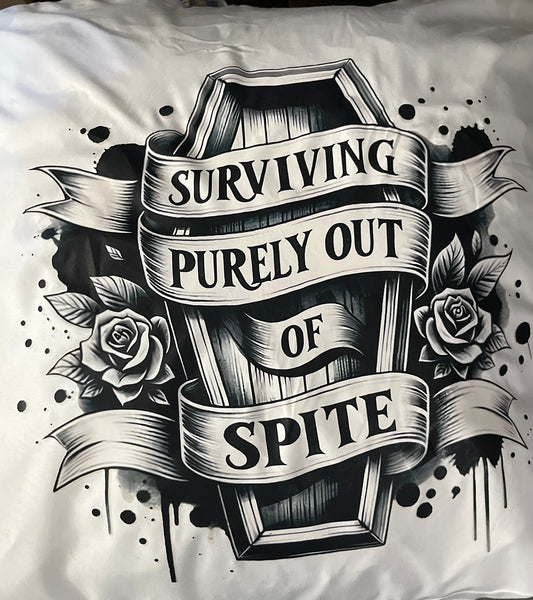 2pc Throw Pillow Set - Purely out of Spite