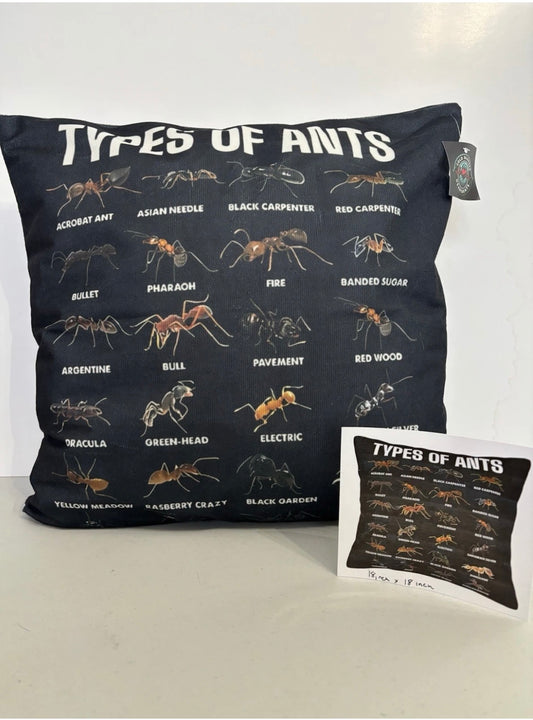 Types Of Ants Throw pillow cover 18x18 Educational Nature Inspired Home Decor