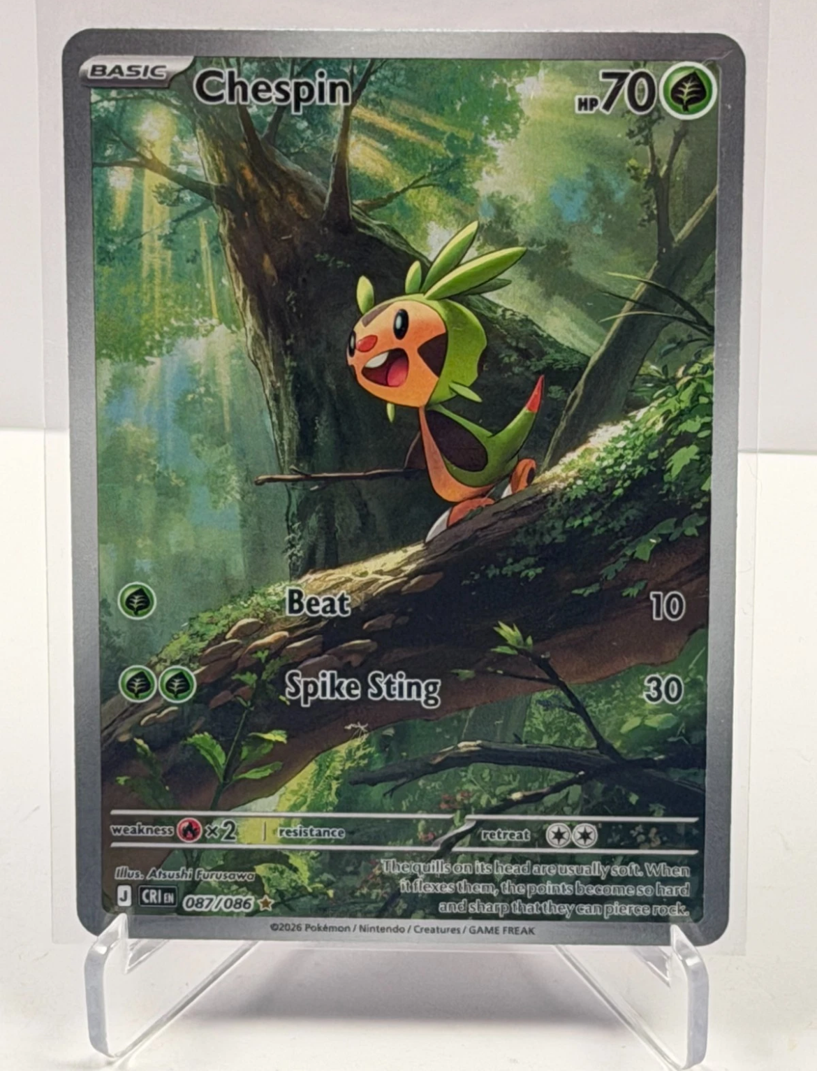 Pokémon Illustration Rare Collector Cards