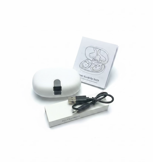 BX29 True Wireless Earbuds Sports
