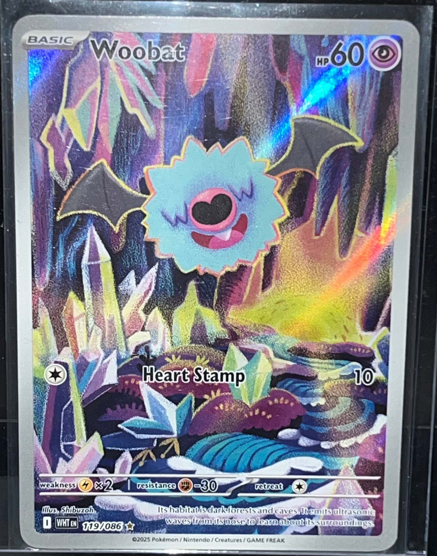 Pokémon Illustration Rare Collector Cards